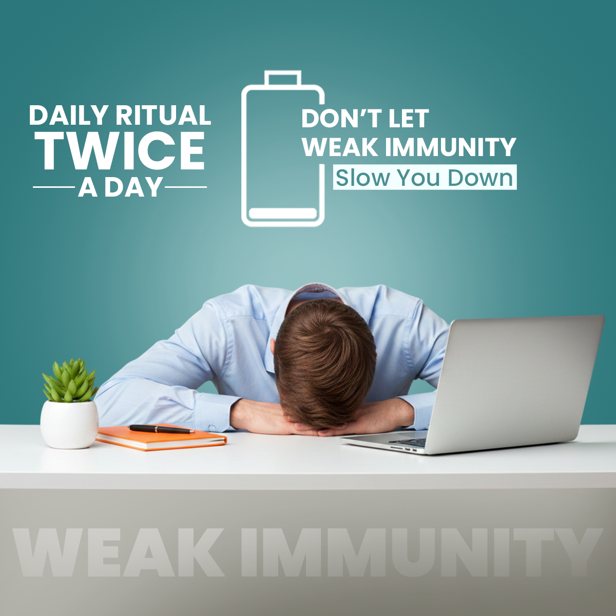 AYU Immuno Shield Capsules